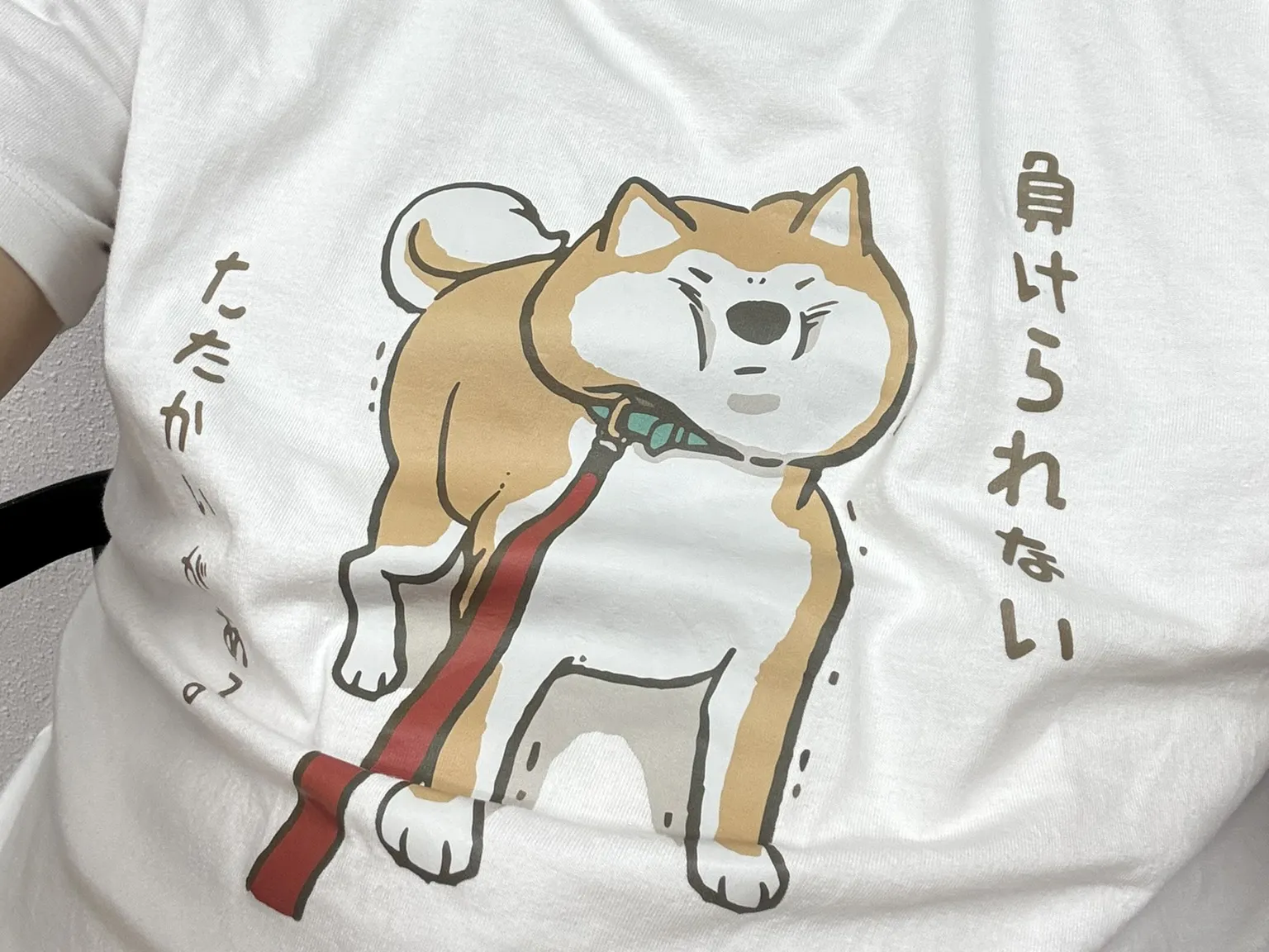 沖縄カメラマン木部伸治の自己紹介